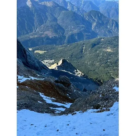 Pure Mountain Garden 펜션